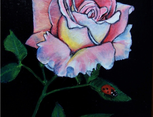 Rose with lady bug